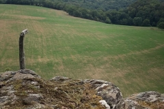 Malval 5